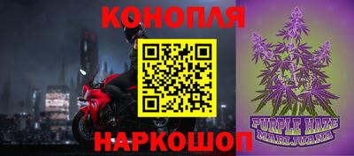 гидропоника Можга