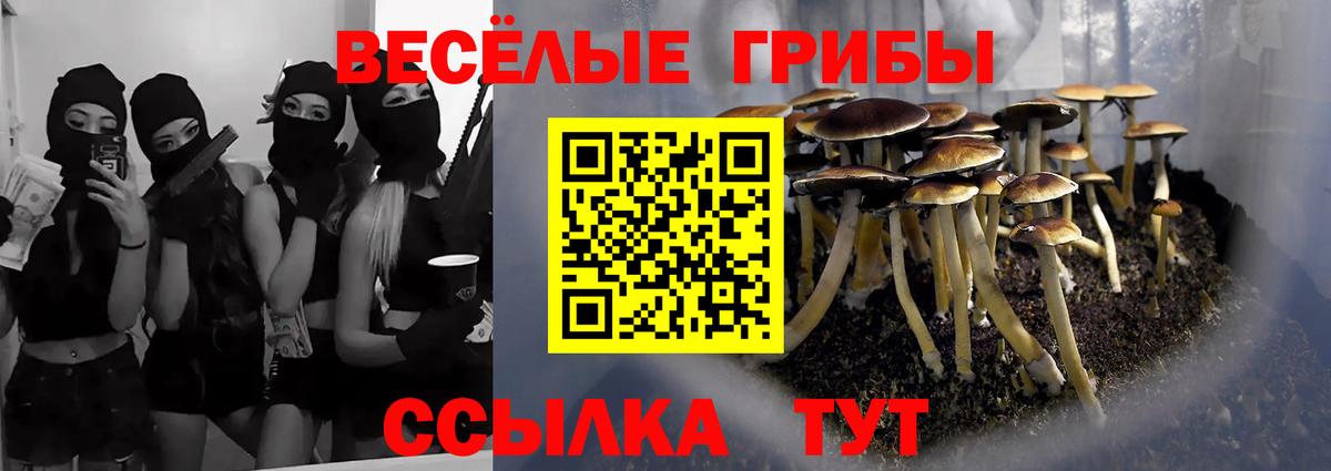 Пугачёв  Псилоцибиновые грибы MAGIC MUSHROOMS  Вход с VPN 